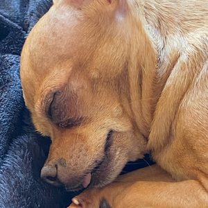 Meet your Posher, Aglaé